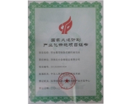 國家火炬計劃